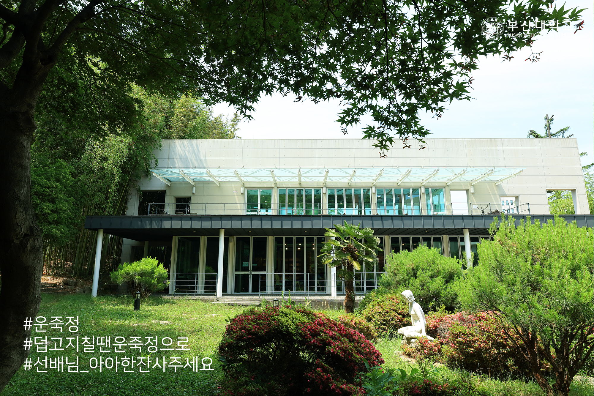 'Busan Campus'