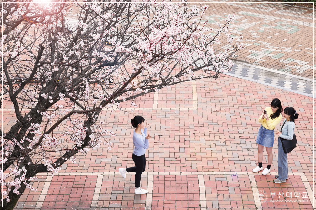 'Busan Campus '