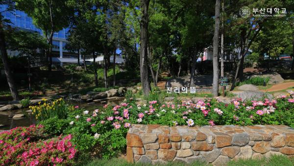 'Busan campus'의 첨부파일 이미지
